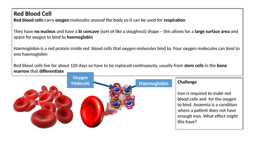 AQA Blood and Blood Vessels