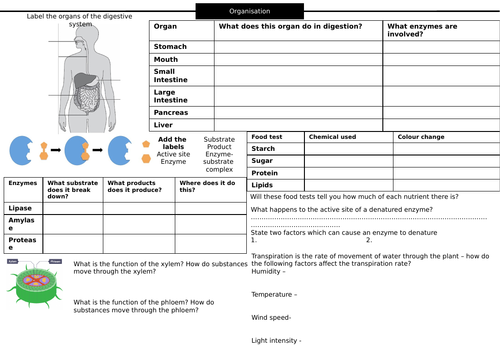 Revision Sheets for AQA Organisation module