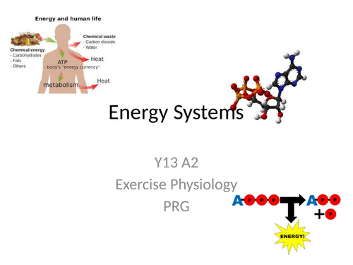 OCR A-level Exercise Physiology Energy Systems
