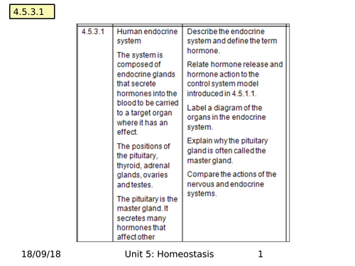 Endocrine system