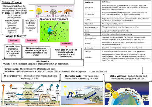AQA 9 - 1 Biology Ecology worksheet