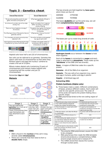 Biology edexcel CB3 Genetics revision overview and cheat sheet