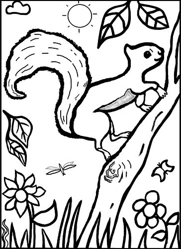 Squirrel in Woods Colouring Sheet | Teaching Resources