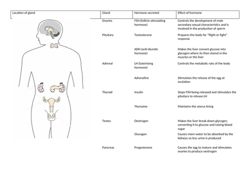 Hormones consolidation match up