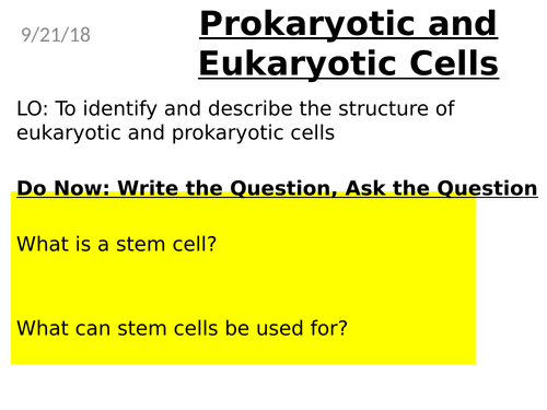 new spec prokaryotic cells