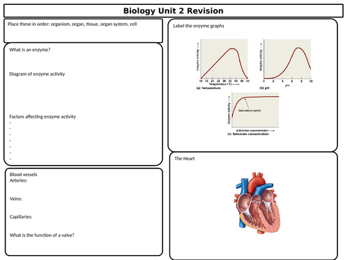 AQA 9-1 Biology Unit 2  - Organ systems Revision worksheet