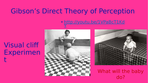 Gibson's Direct Theory of Perception