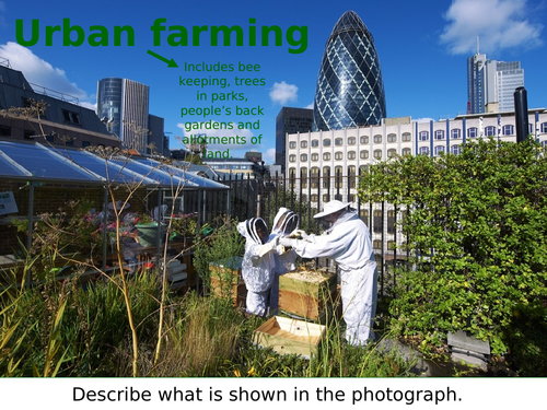 Sustainable Food Production