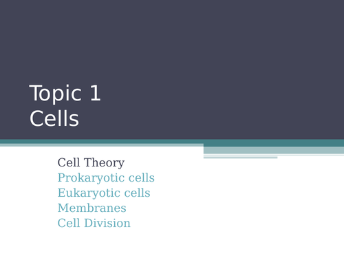 IB Bio Cells Powerpoint