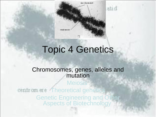 IB Biology Genetics Powerpoint