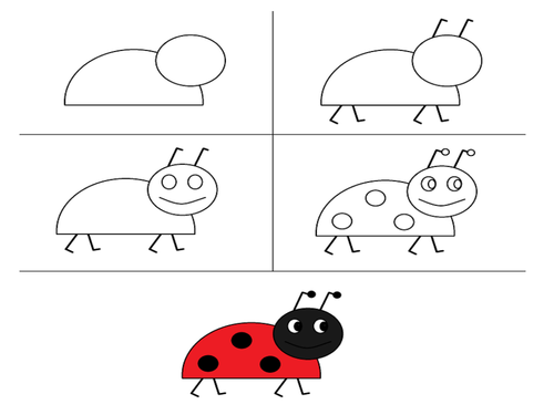 Draw a Ladybird Handout