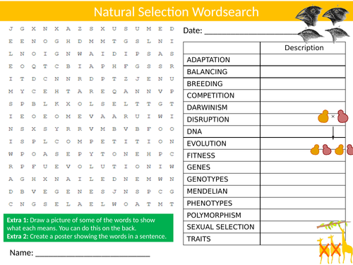 Natural Selection Wordsearch Sheet Starter Activity Keywords Cover Homework Evolution Biology