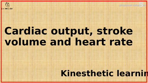 Bundle of resources for relationship between Heart Rate, Stroke Volume and Cardiac Output