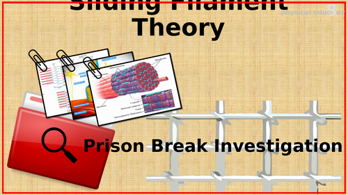 Sliding Filament Theory Prison Break Activity