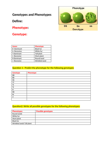 Genotypes And Phenotypes Worksheet - Promotiontablecovers