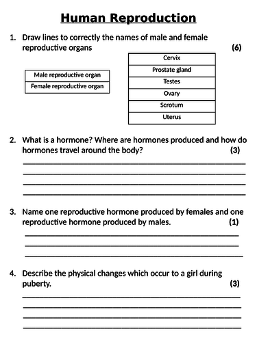 NEW AQA GCSE Trilogy (2016) Biology - Human Reproduction Homework
