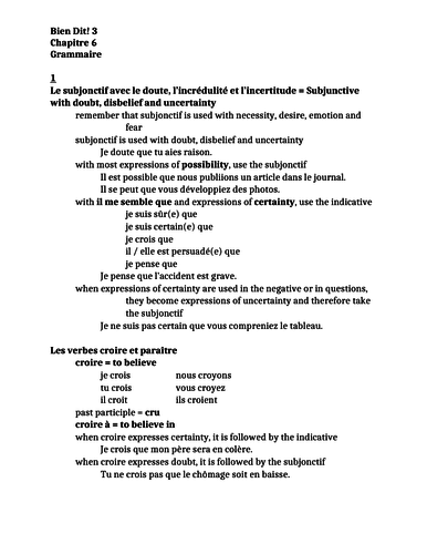 Bien Dit 3 Chapitre 6 Grammaire Study guide