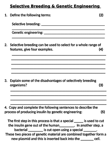 NEW AQA GCSE Trilogy (2016) Biology - Selective Breeding & Genetic Engineering Homework