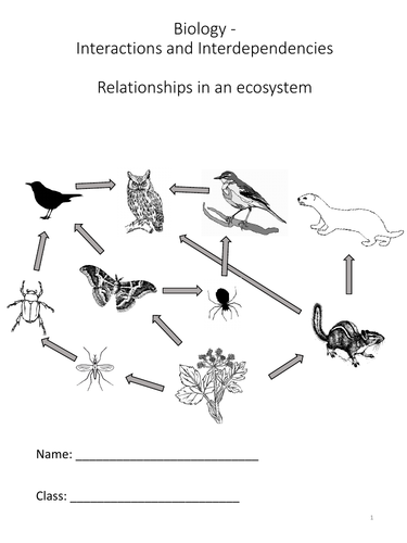 Biology - Relationships in an ecosystem - Complete Science Key Stage 3 Unit