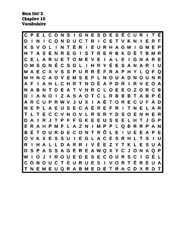 Bien Dit 3 Chapitre 10 Wordsearch