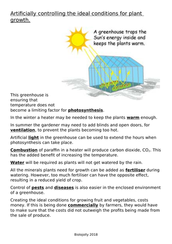 Photosynthesis - Artificial conditions in a greenhouse