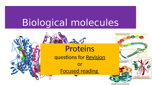 EdExcel AS Biology: Biological molecules: Proteins (Questions for Revision /focused reading)