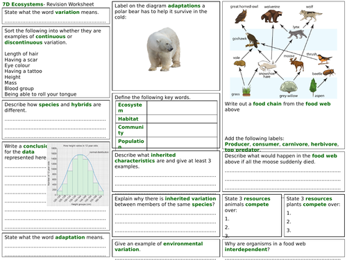Exploring Science 7D Revision Worksheet- Ecosystems