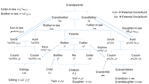 A Visual Explanation of Family Terms in English and Arabic