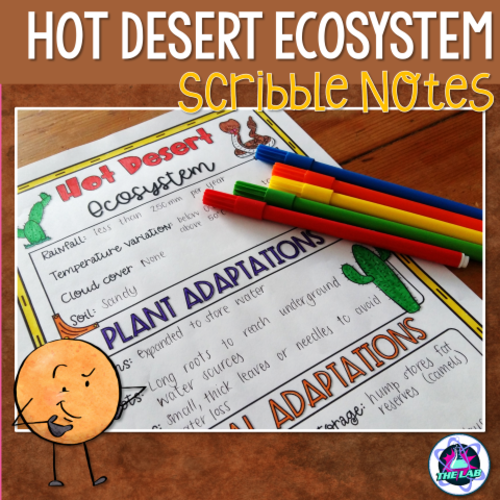 Hot Desert Ecosystem Scribble Notes