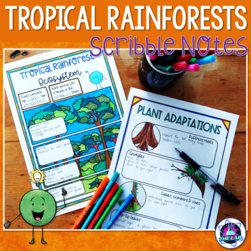 Tropical Rainforest Ecosystem Scribble Notes