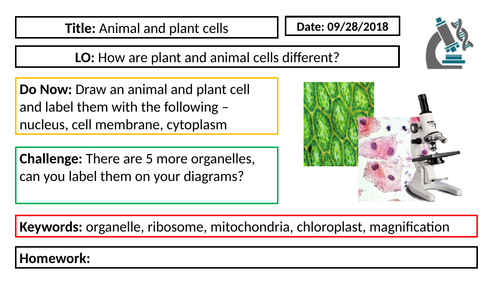 AQA GCSE Biology New Specification - B1 Animal and Plant cells