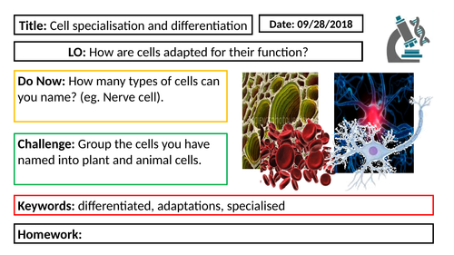 AQA GCSE Biology New Specification - B1 Cell specialisation and differentiation