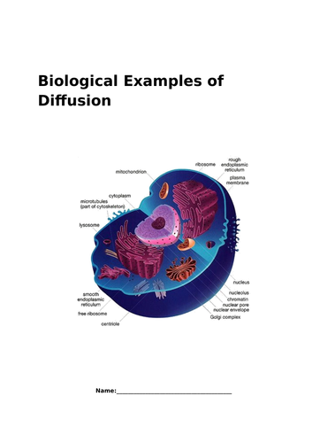 AQA GCSE Biology New Specification - B1 Exchanging materials