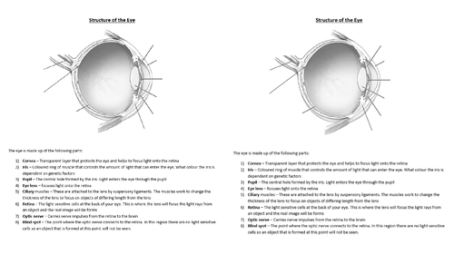 AQA GCSE Biology New Specification - B5 The eye