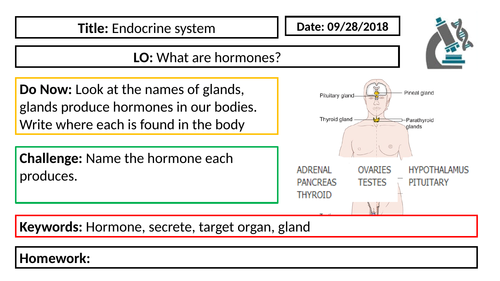 AQA GCSE Biology New Specification - B5 The endocrine system