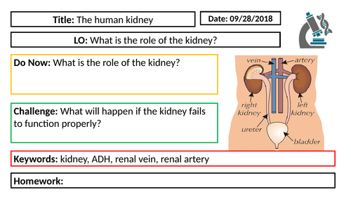AQA GCSE Biology New Specification - B5 The Kidney
