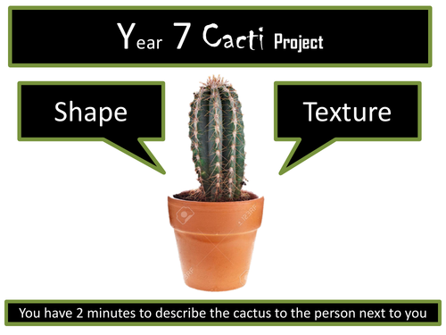 How to draw a cactus - STEP BY STEP VISUALS