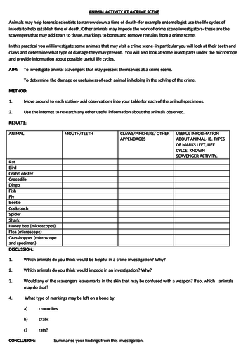 Forensic- animal activity at a crime scene