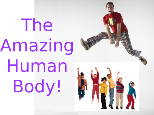 The Amazing Human Body