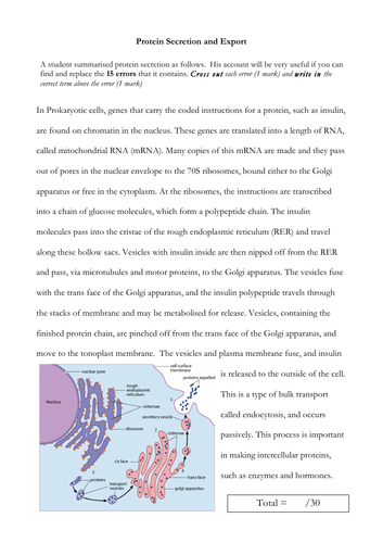 Protein Export and Secretion Worksheet