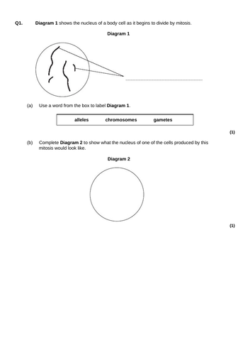 AQA GCSE: B2 Cell Division: Selection of Exam Questions