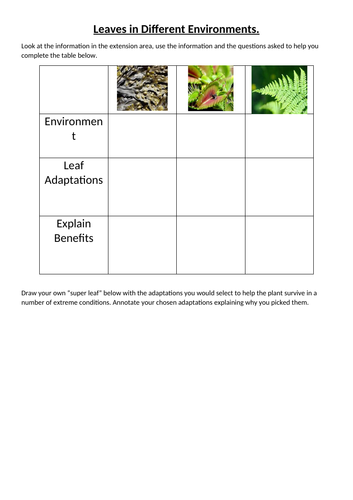 GCSE Biology Leaf Adaptations Extension Worksheet | Teaching Resources