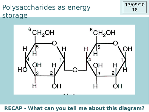 A Level Biology Polysaccharides as energy molecules Complete lesson