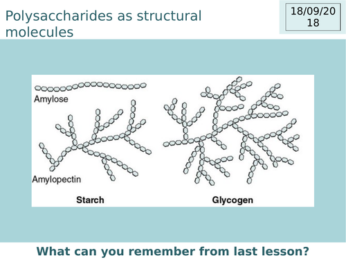 A Level Biology Polysaccharides - Cellulose Complete lesson