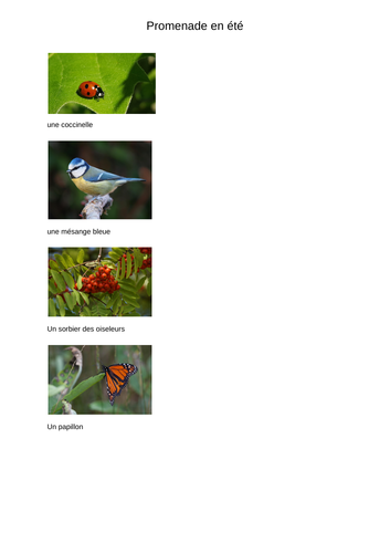 French summer walk support sheet with photos & French names.