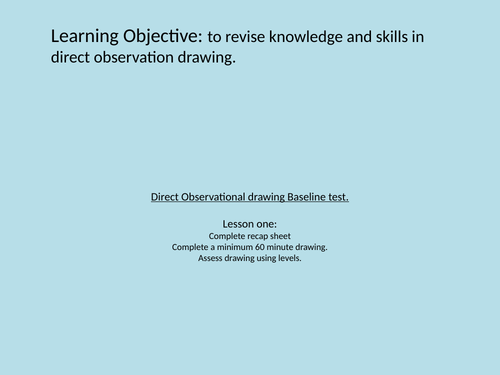 Direct Observation Baseline Drawing Test powerpoint