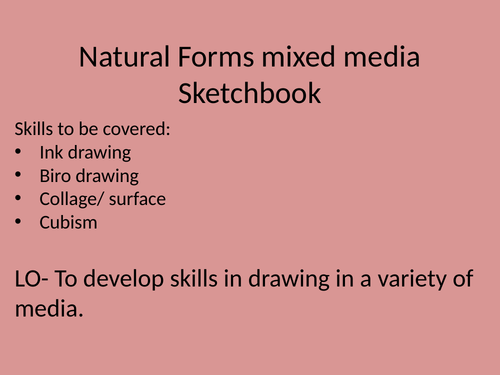 Cubism unit of work in a powerpoint