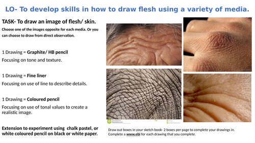 activity sheet fro drawing flesh