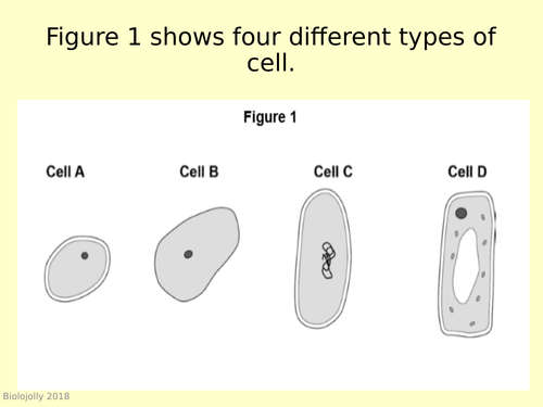 Cells - worked exam question