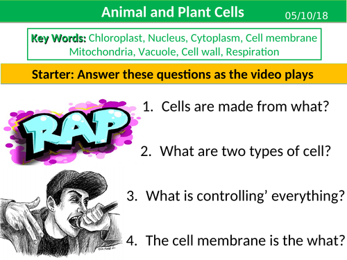 Plant And Animal Cells Ks3 Teaching Resources